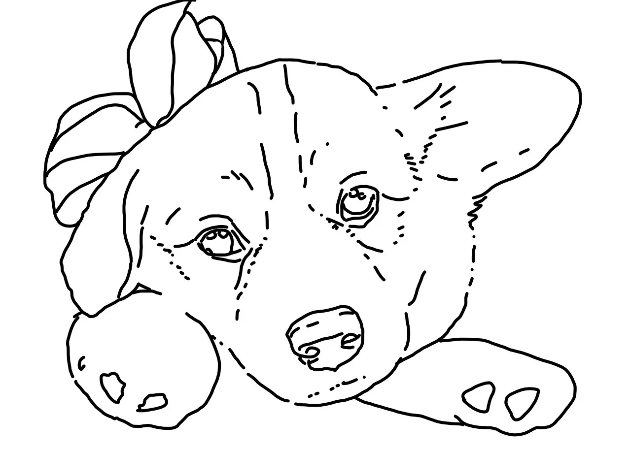 Corgi Collectible Display Case