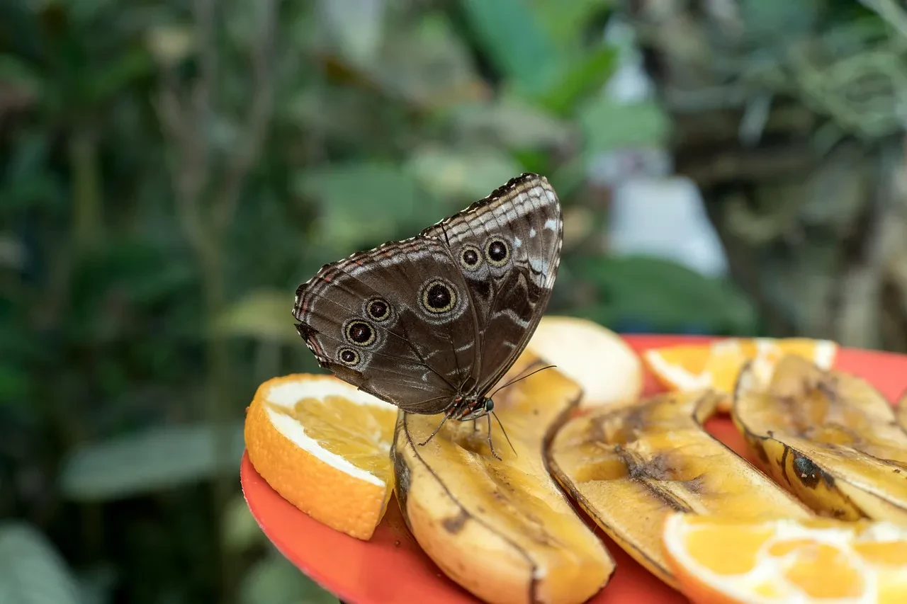 Greenlight diecast detail shot