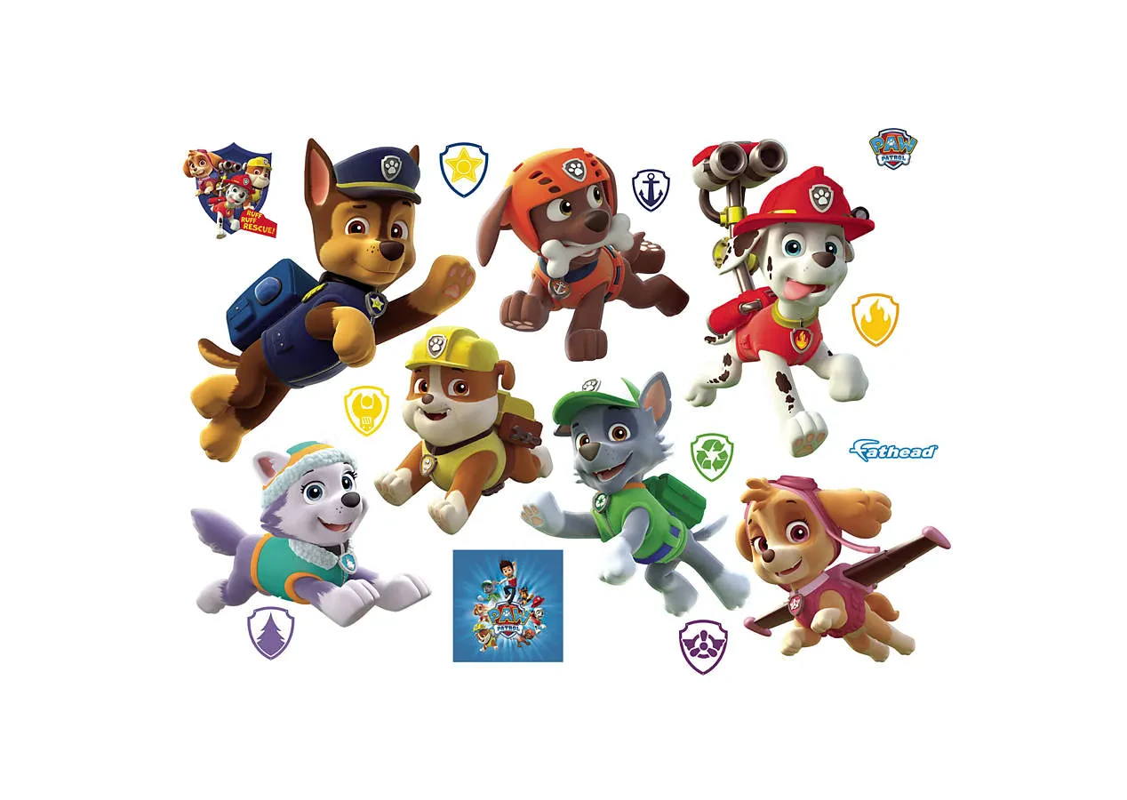 paw patrol diecast collection