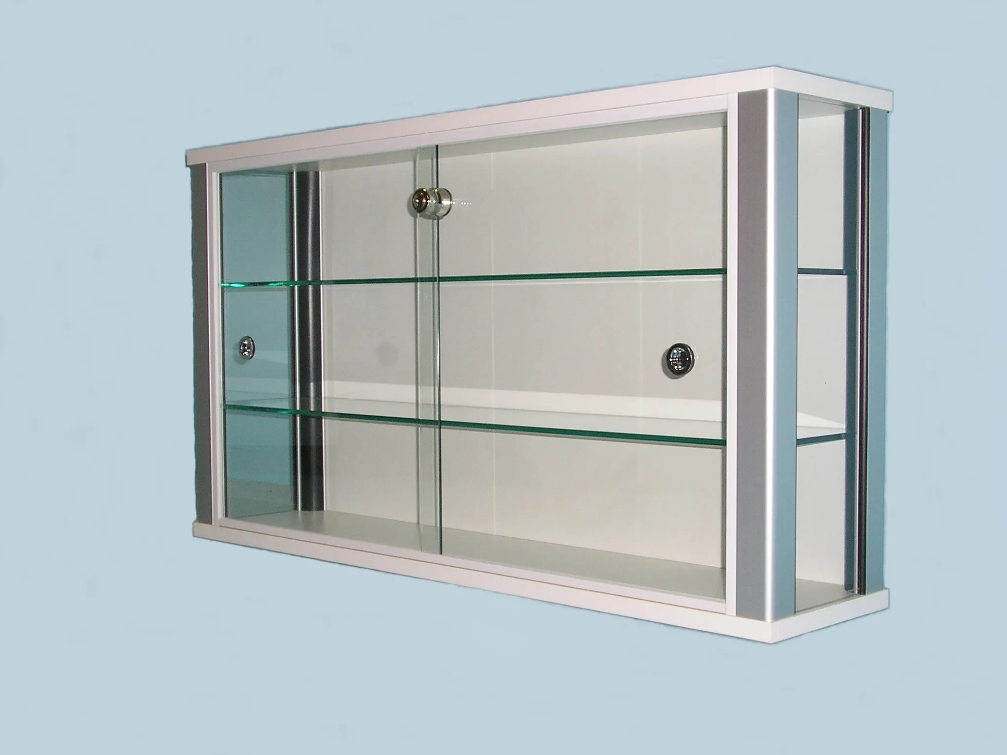 wall mounted diecast display case