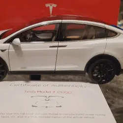 img/3742_tesla-model-s-p100d-red-diecast-a-collectors-dream.webp
